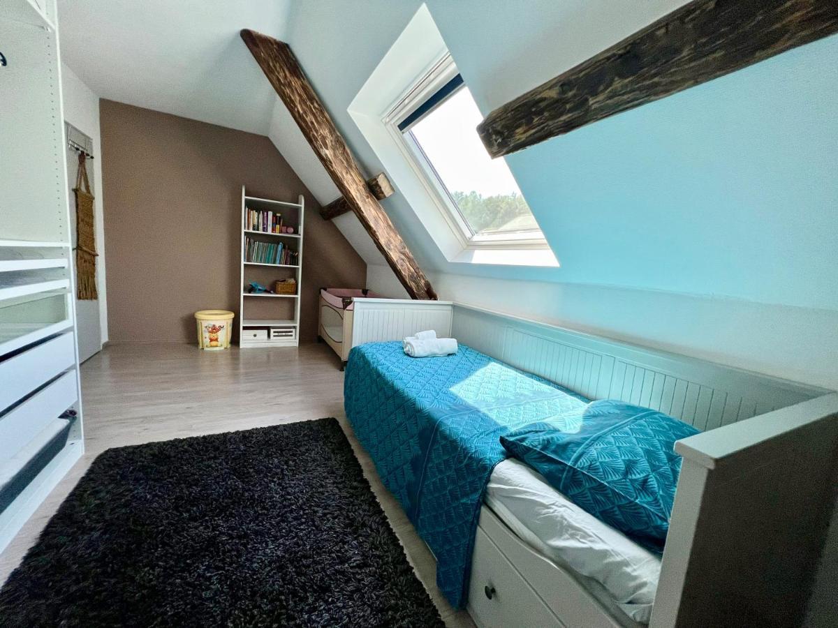 Superbe Appartement Duplex A Kaysersberg En Alsace Kültér fotó